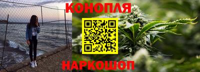 сатива Будённовск