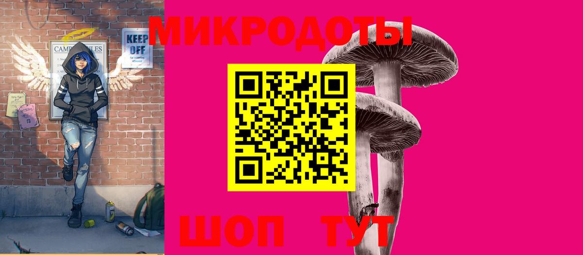 Галлюциногенные грибы Psilocybine cubensis Югорск